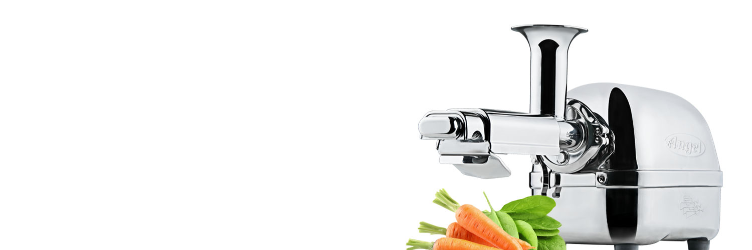 Store_banner_twingears