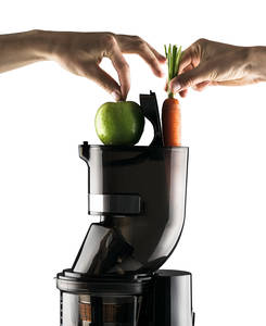 Sana Horeca EUJ-909 Commercial vertical juicer top unit Sana Horeca EUJ-909 Commercial vertical juicer top unit