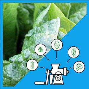 Lexen healthy juicer chart