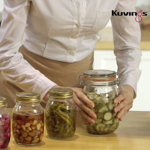 fermentor kuvings