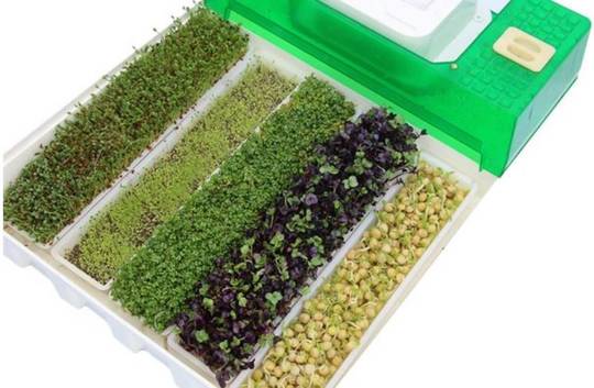 hydroponické nakličovací tácy Easy Green Light