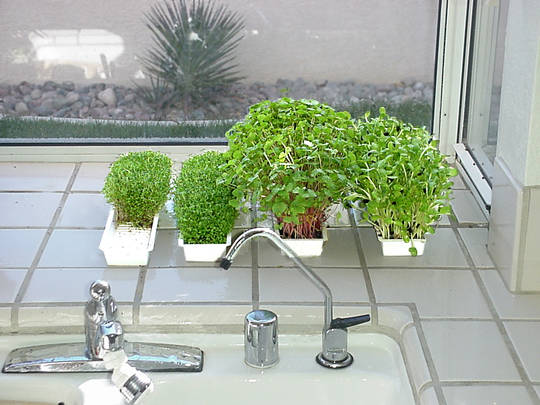 hydroponické tácy Easy Green Light