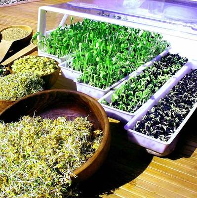 automatické klíčidlo Easy Green Light