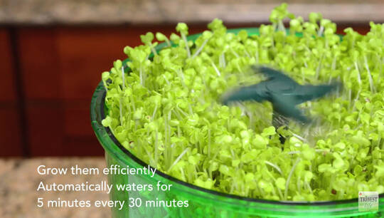 zavlažovací tryska