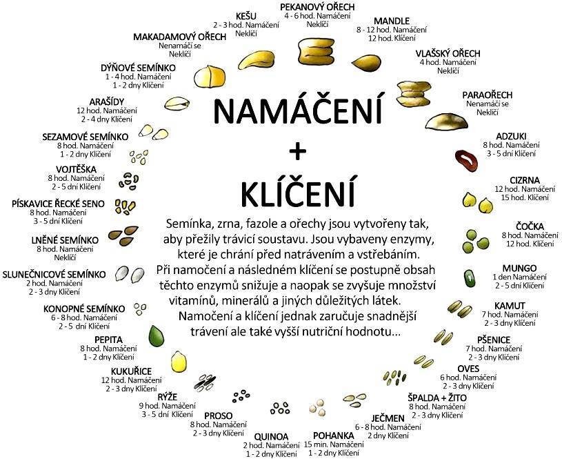 klíčení semen