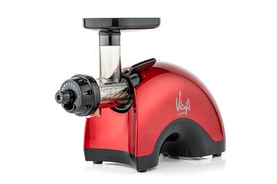 Vidia-juicer-twin-gear-VTG-001-isolated